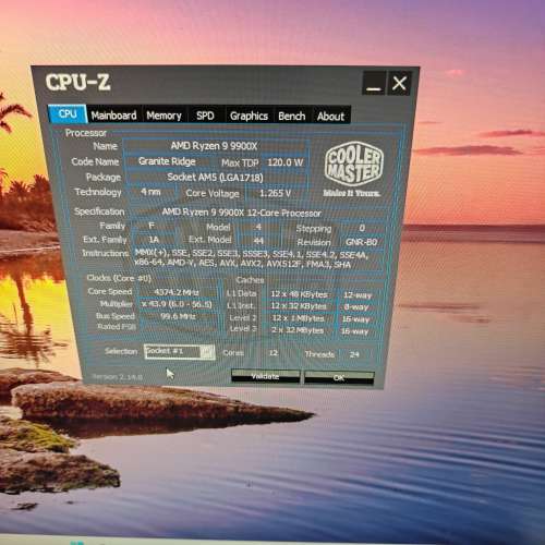 AMD Ryzen 9 9900X