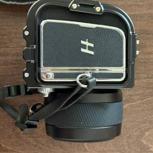 Hasselblad 907x 50c