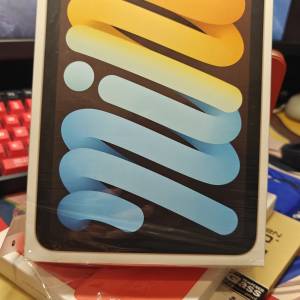 (iOS 26) iPad Mini 6 256GB Wi-Fi Gold 金色 連原裝套 送保護貼 Mon貼
