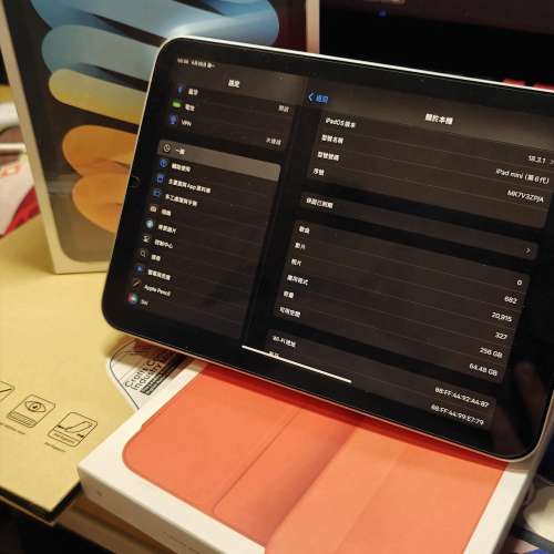 (iOS 26) iPad Mini 6 256GB Wi-Fi Gold 金色 連原裝套 送保護貼 Mon貼