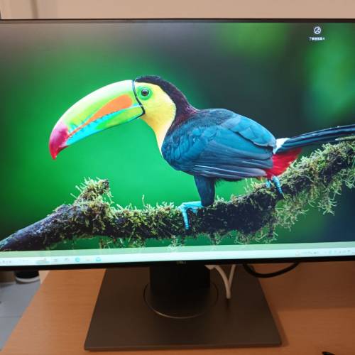 DELL 24寸濶窄框邊全高清電腦屏幕