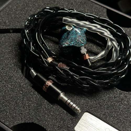 QDC Anole V6 Universal IEM