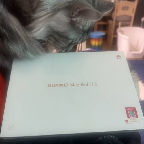 Huawei matepad 11.5