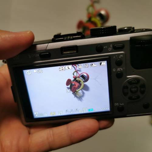 Lumix Panasonic DMC-Gf1 Body M43