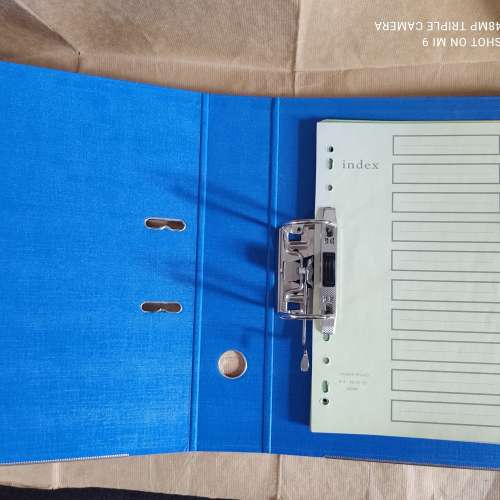 GLOBE F4 3" PVC Level Arch File