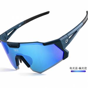 Lameda LS350 LS-350 偏光鏡 專業單車眼鏡 男女款 太陽眼鏡 WHATSAP 66 502975