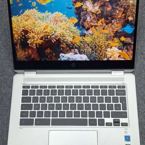 HP chromebook X360 14 G1 intel 8代 Pentium Gold CPU 8G Ram 32GB EMMC Storage