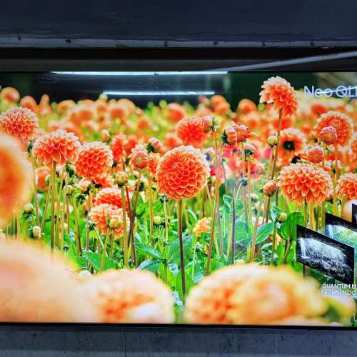 65吋 8K QLED SMART TV 三星65QN800A 電視
