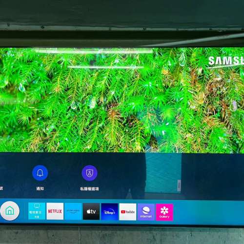 65吋 8K QLED SMART TV 三星65QN800A 電視