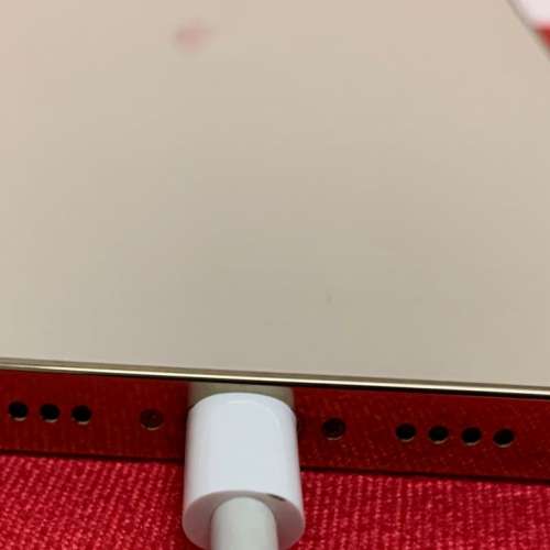 iPhone 12 Pro Max 256GB 金色 大陸版