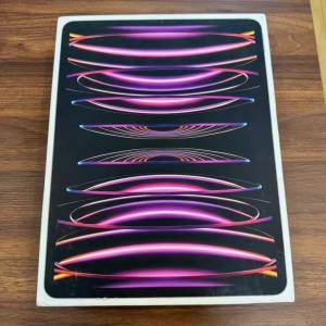 閑置iPad Pro 2022款 12.9英寸 6代（M2芯片） 連筆