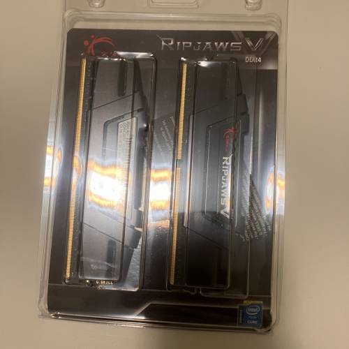 G.Skill DDR4/3200, 16 GB x 2 (32GB set)