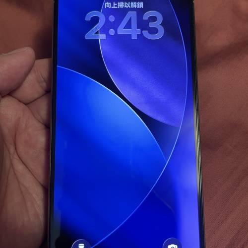 iphone 15 pro max 原色鈦 256gb