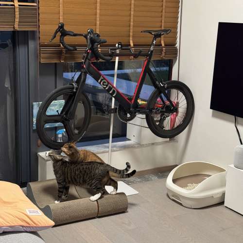 Tern Surge pro 52 cm