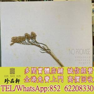 【珍品軒】高價回收 彭家麗黑膠唱片 彭家麗 NO PROMISE 白版碟 黑膠唱片 LP Vinyl，...