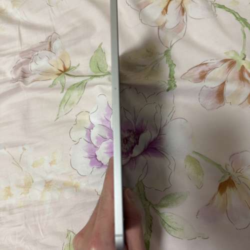 M1 iPad Pro (11-inch) 行動網絡