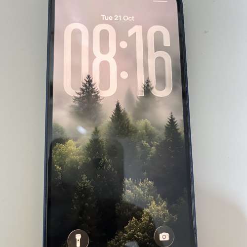 iPhone 12 藍色 64GB