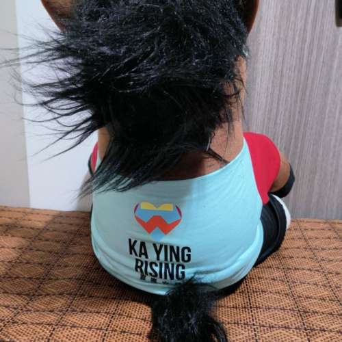 全球200隻限量版~嘉應高昇~45CM高,大馬有磁吸红蘿蔔