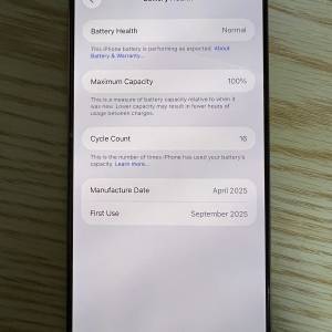 iPhone 16 Pro Max 256GB沙漠金 100%電池健康極新