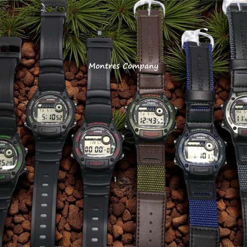 Montres Company 香港註冊公司(32年老店) 卡西歐 CASIO 50米防水 運動型設計 W220 ...