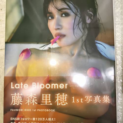 日本 AV女優 寫真集 全新