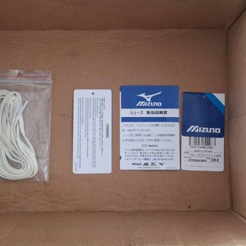 Mizuno wave prophecy moc