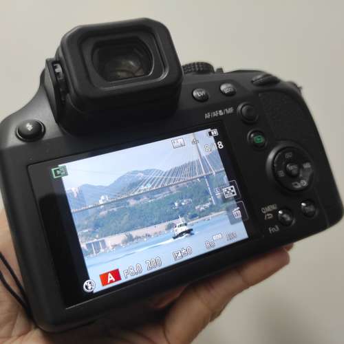 Panasonic Lumix FZ80D (20mm-1200mm)