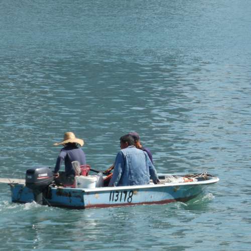 Panasonic Lumix FZ80D (20mm-1200mm)