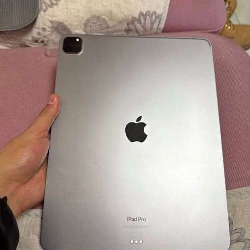 ipadpor2022 99新 閒置 12.9寸