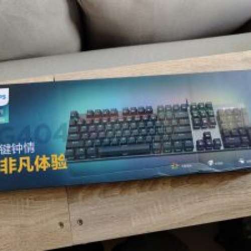 philips  104鍵 機械鍵盤  全新有盒