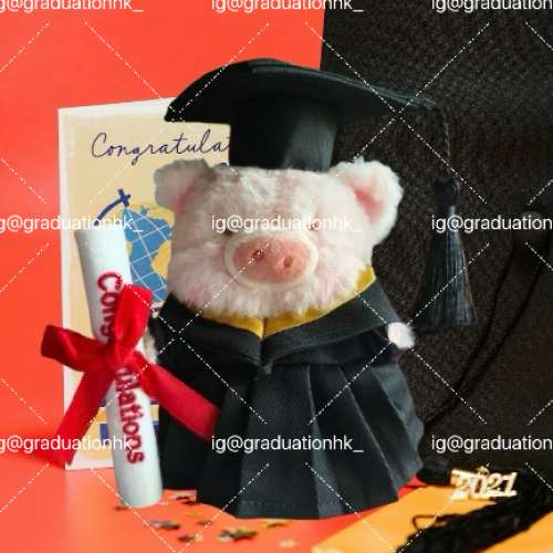 睇下文‼️獨家【訂做】 正版lulu豬畢業公仔‼️ lulu the piggy graduation doll ...