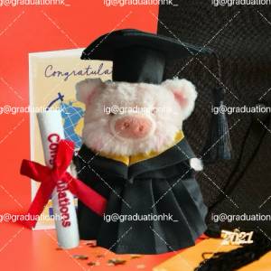 睇下文‼️獨家【訂做】 正版lulu豬畢業公仔‼️ lulu the piggy graduation doll ...