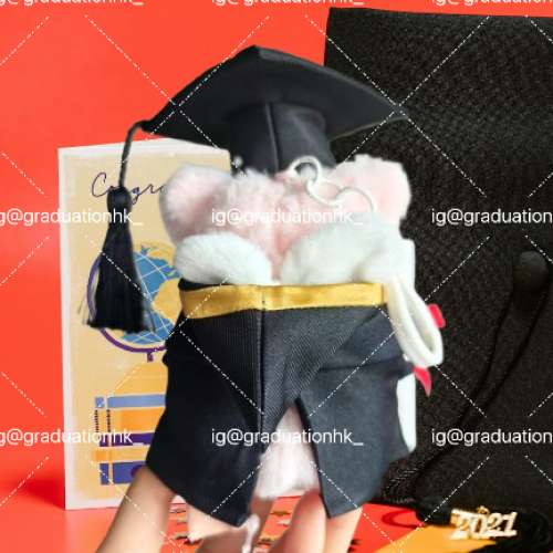 睇下文‼️獨家【訂做】 正版lulu豬畢業公仔‼️ lulu the piggy graduation doll ...