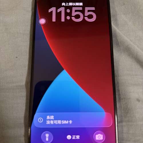 iPhone 15 Pro Max 512 GB back