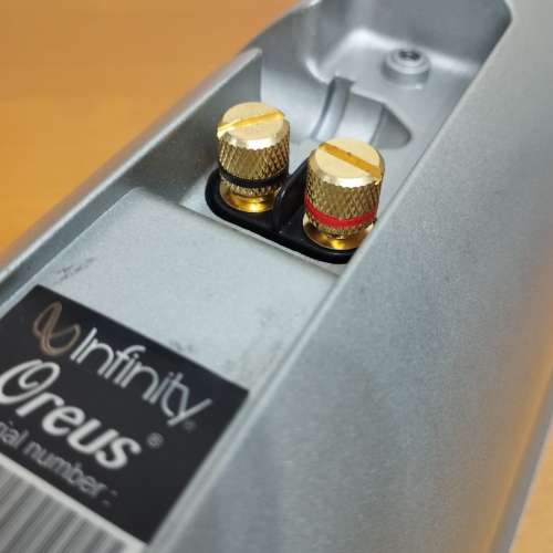 Infinity Oreus 中置喇叭袖 center