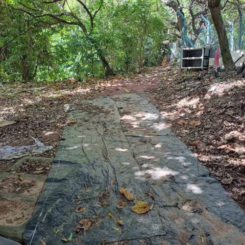 包黑庇凶；畀黑喘息