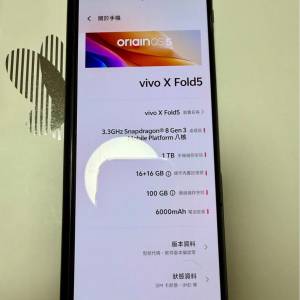 國行Vivo X Fold5 16+1TB鈦度