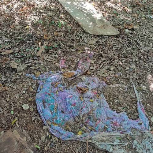 殺妻の仇不共戴天