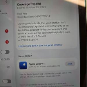 99%新淨粉籃色iPad mini 7 128Gb (已過保）