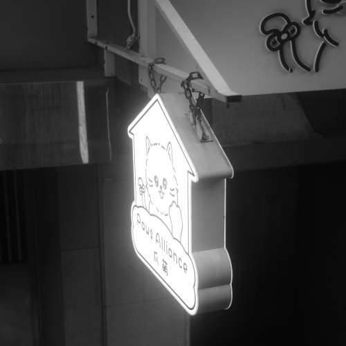 Leica Summar 50 2 LTM with N.Y. SOOMP Hood