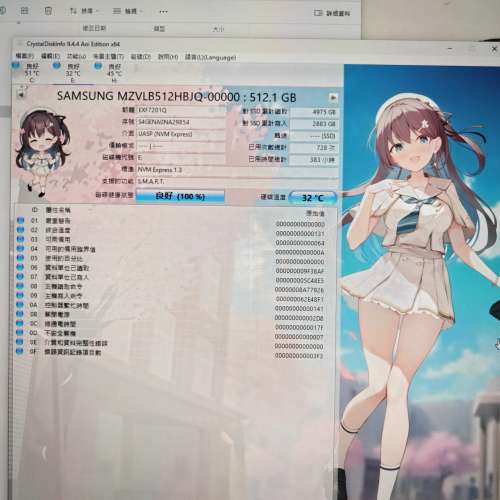 Samsung 三星 PM981a M.2 2280 NVMe SSD 512GB (MZVLB512HBJQ)