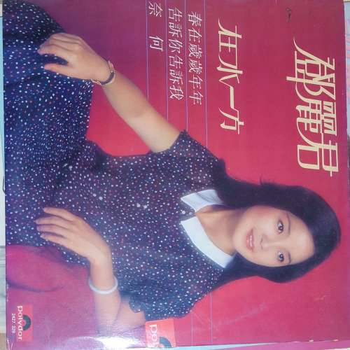 鄧麗君 在水一方 黑膠唱片