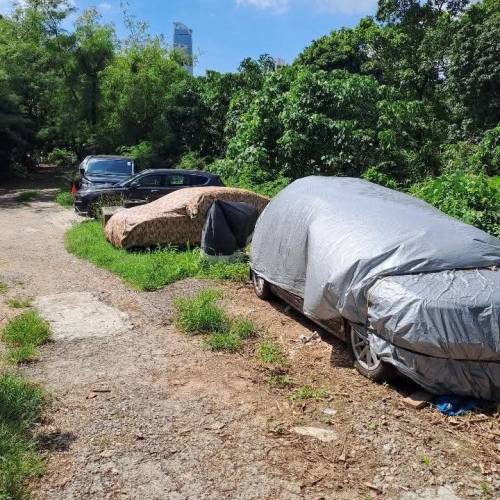 包黑庇凶；扶黑喘息