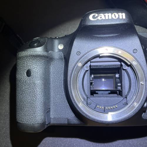 Canon EOS 7D + Canon 50mm f1.8II