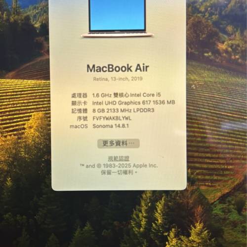 學生必備✅Macbook Air 2019 (8+128GB) 玫瑰金