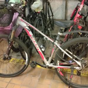 Giant 山地車