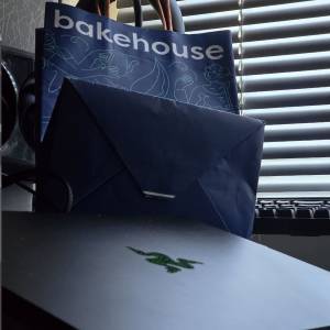 razer blade 14 4070