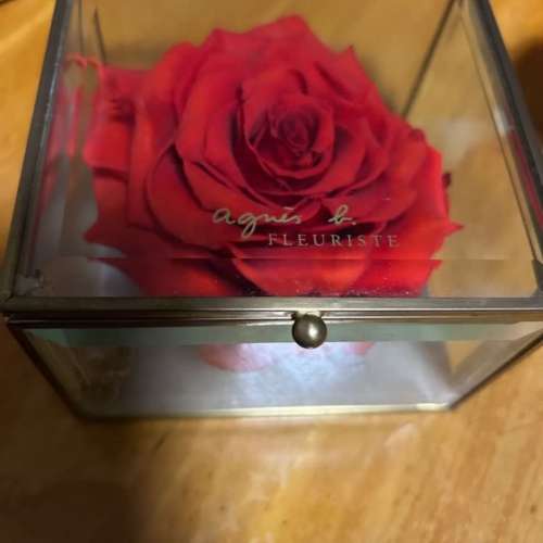 Agnes b 紅色玫瑰永生花首飾飾物盒 Flower rose accessories box(5x3 inches)