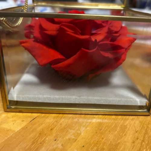 Agnes b 紅色玫瑰永生花首飾飾物盒 Flower rose accessories box(5x3 inches)
