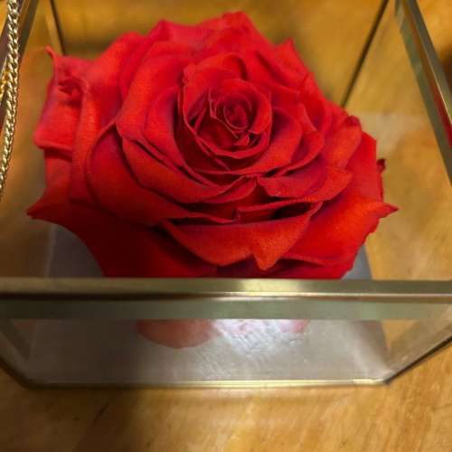 Agnes b 紅色玫瑰永生花首飾飾物盒 Flower rose accessories box(5x3 inches)